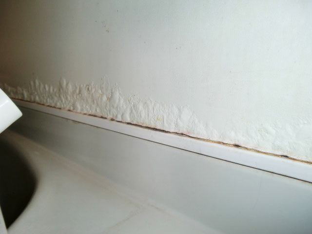 腐食した浴室壁