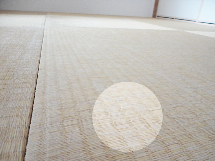 毛羽立った畳