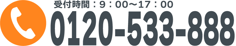0120-533-888