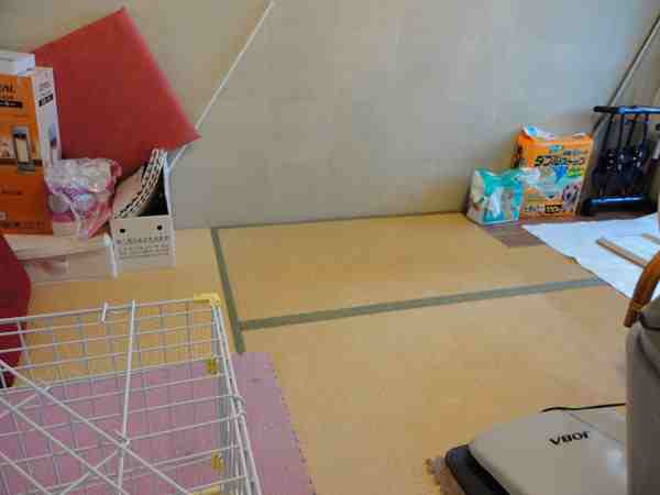 猫ちゃんのおしっこ対策 札幌市中央区 ペットモニターの提案ボード 札幌のすけみつ畳ナビ